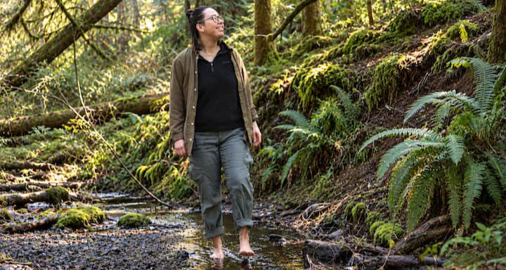 Walking a forest creek on The Wild Path