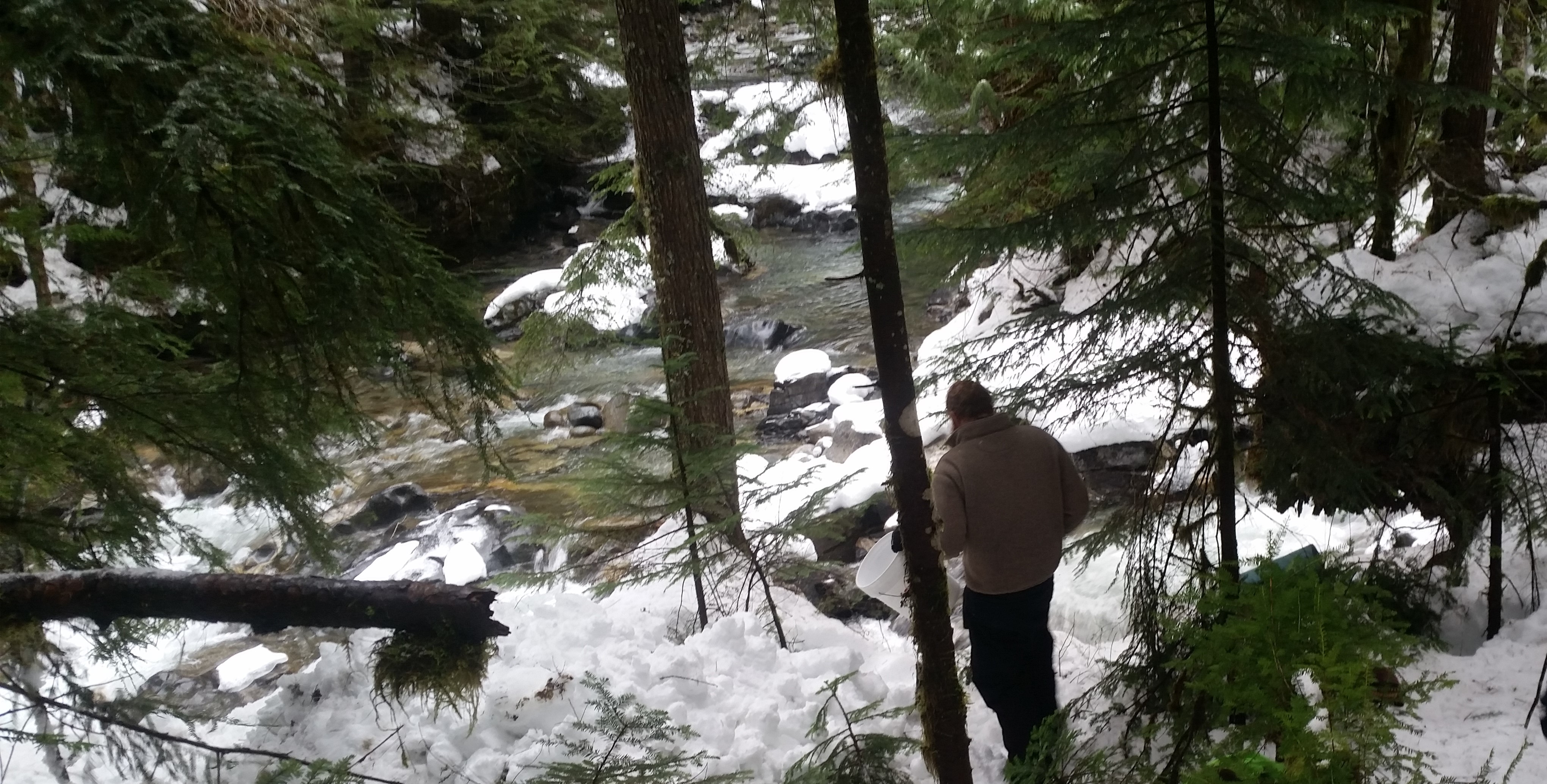 hiking, snow, nature