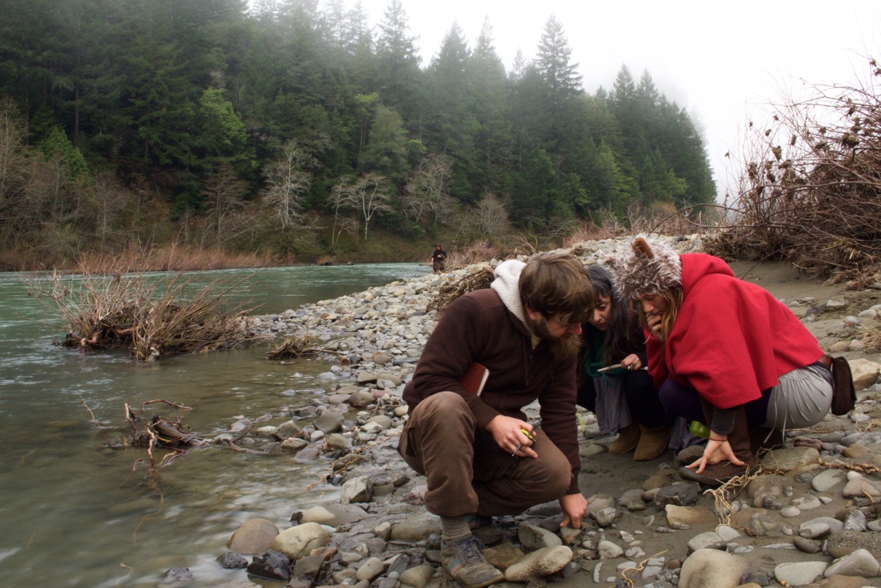 Tracking, wildlife, animals, river