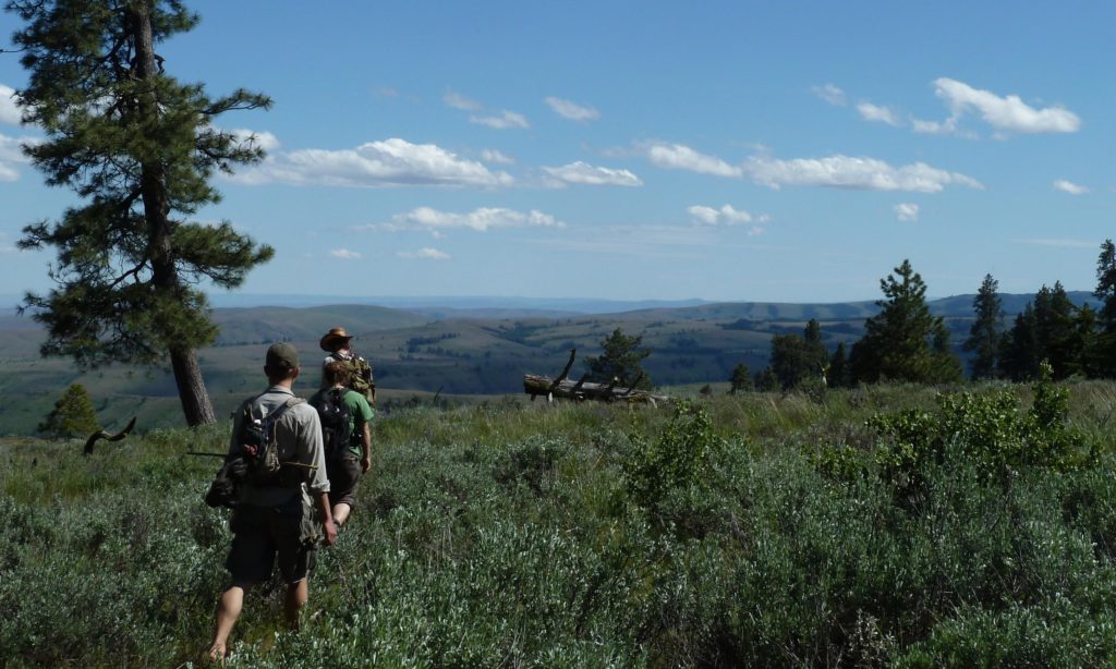 Wilderness Survival Trek » Wilderness Awareness School