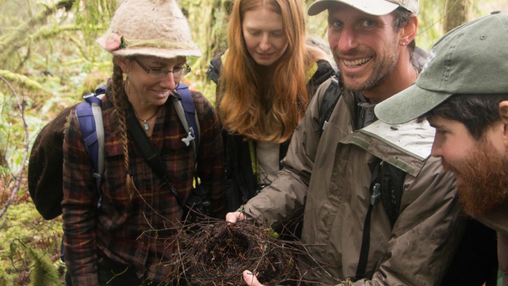 David Moskowitz examines a bird nest with students