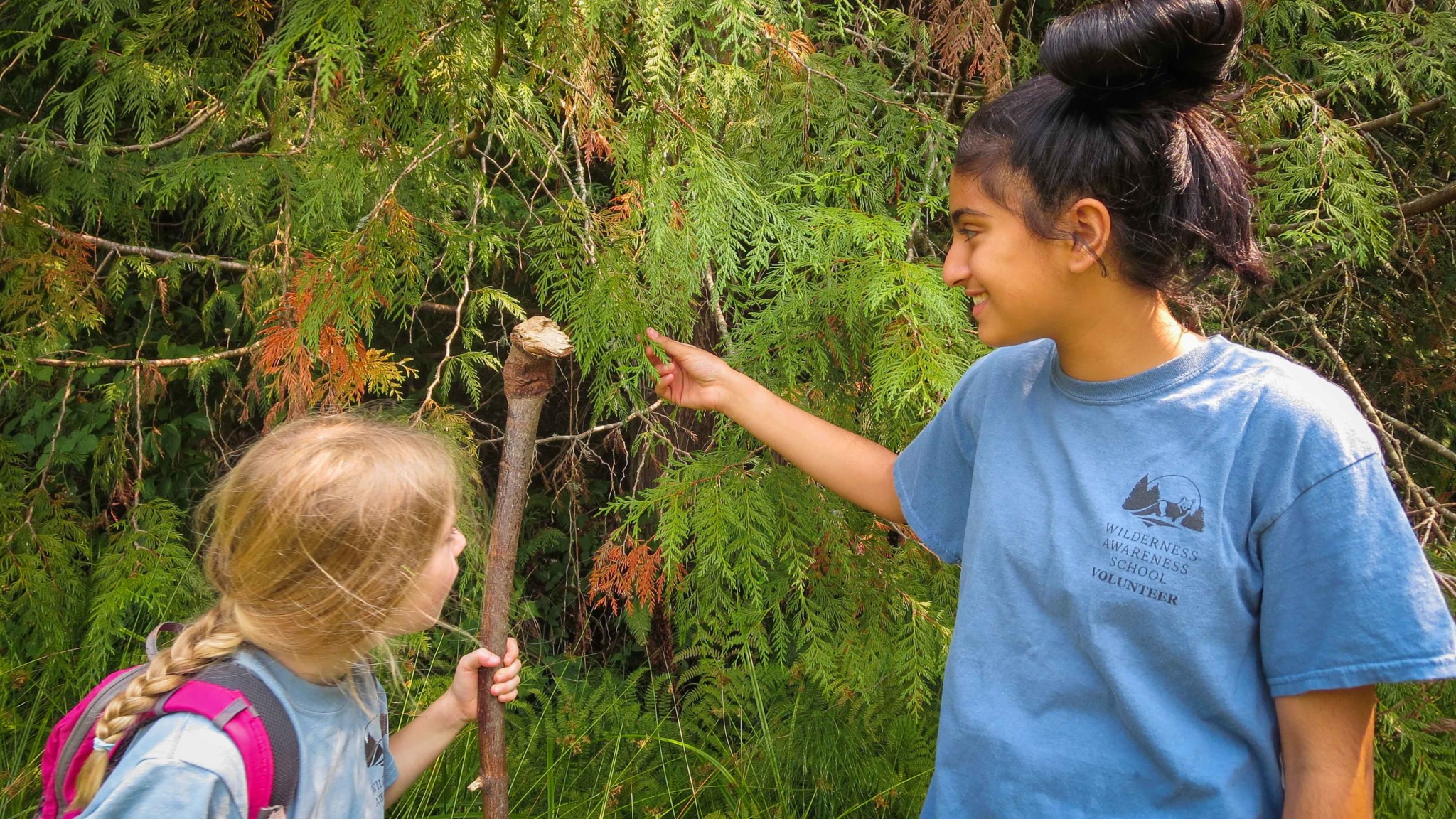volunteer-opportunities-wilderness-awareness-school