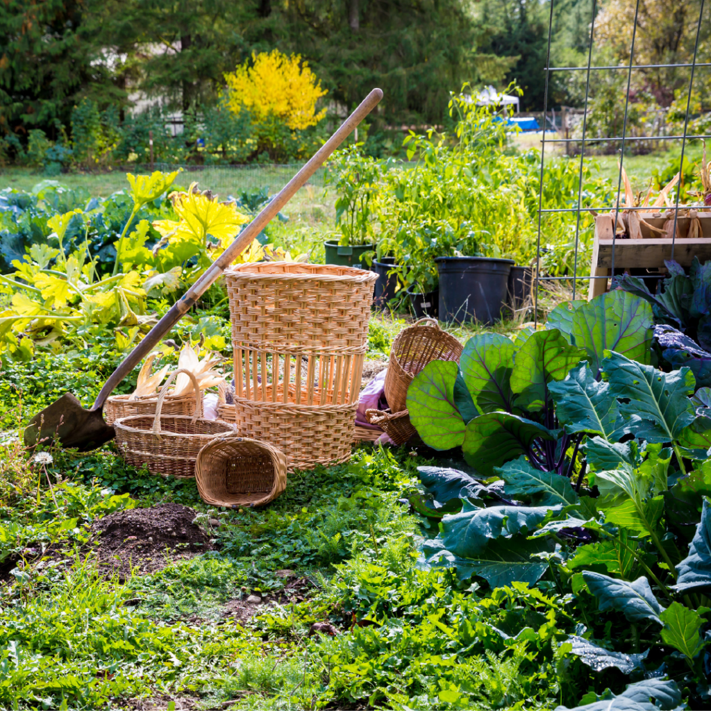 organic farming