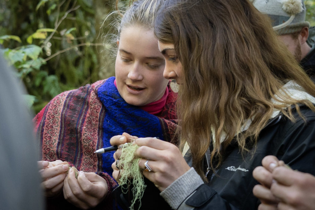 students studying usnea